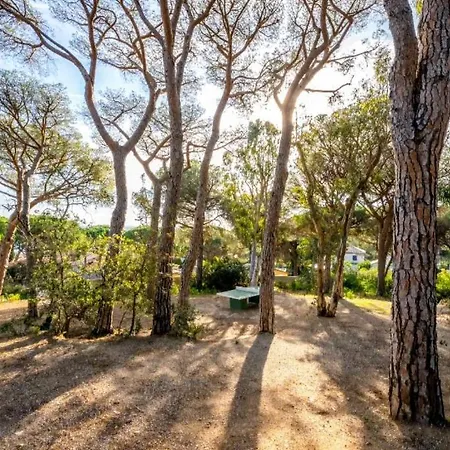 Ste-maxime - Au Coeur De La Pinede Avec Grande Terrasse Et Parking Gratuit A 500m De La * Sainte-Maxime