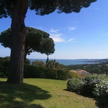 Apartment Ste-maxime - Au Coeur De La Pinede Avec Grande Terrasse Et Parking Gratuit A 500m De La