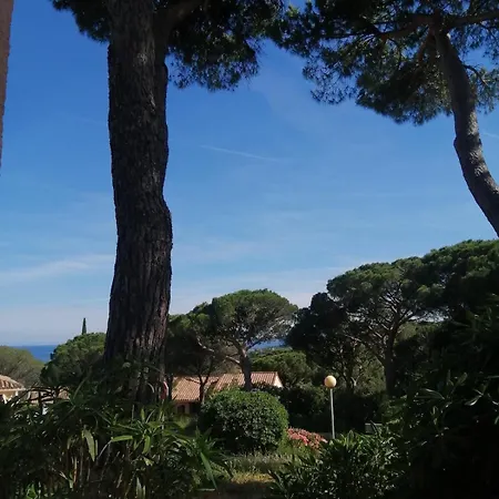 Apartment Ste-maxime - Au Coeur De La Pinede Avec Grande Terrasse Et Parking Gratuit A 500m De La